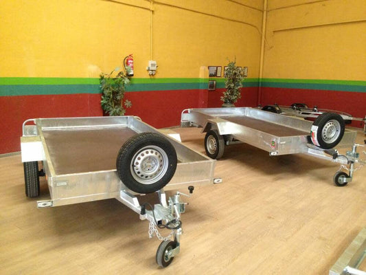 Remolque Plataforma 1