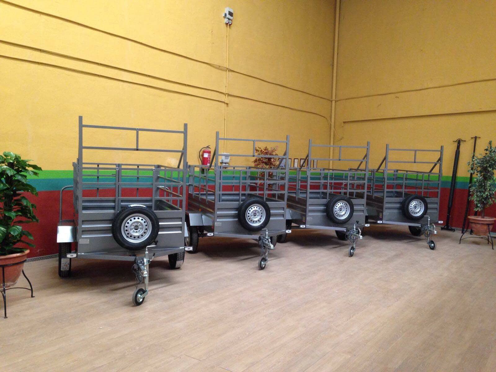 Remolque Caja Abierta 2000X1300X500+500 DE BARANDILLAS